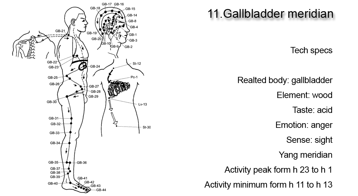 Gallbladder meridian