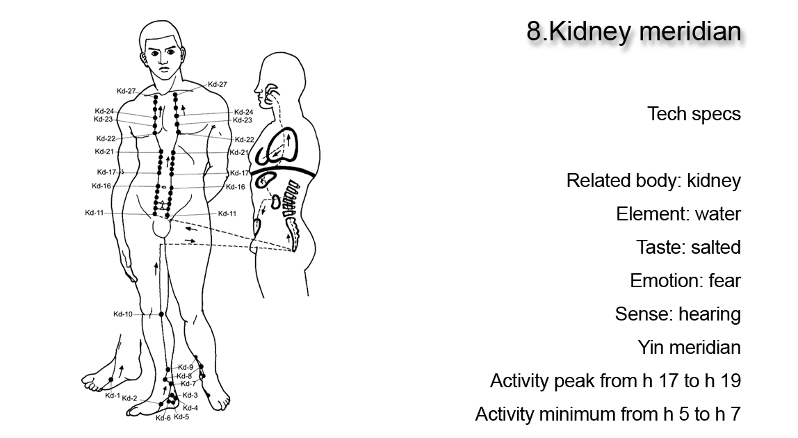 Kidney meridian