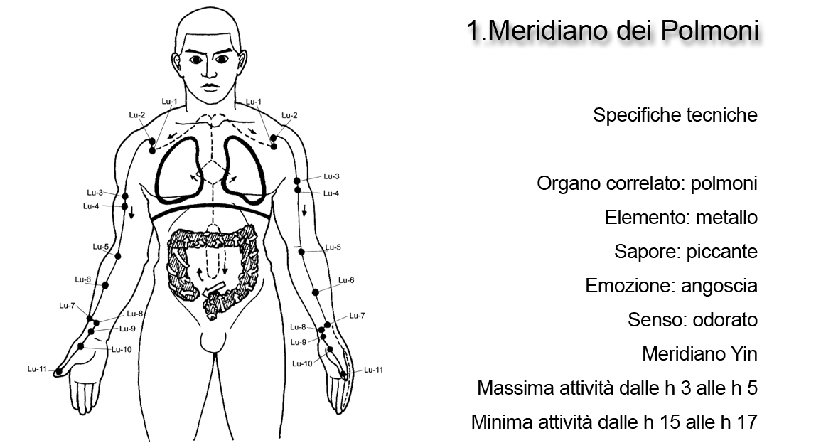 Meridiano del Polmoni