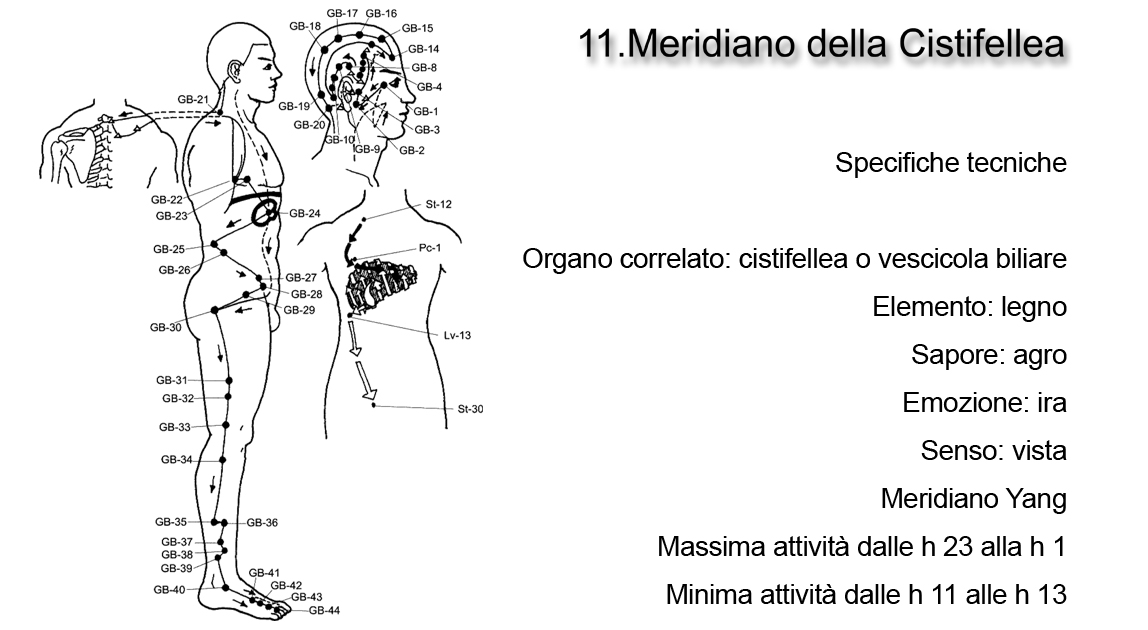 Meridiano della Cistifellea