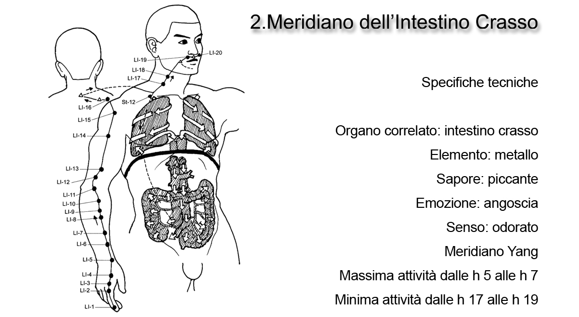 Meridiano dell'Intestino Crasso