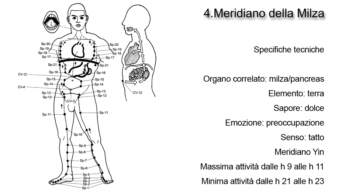 Meridiano della Milza