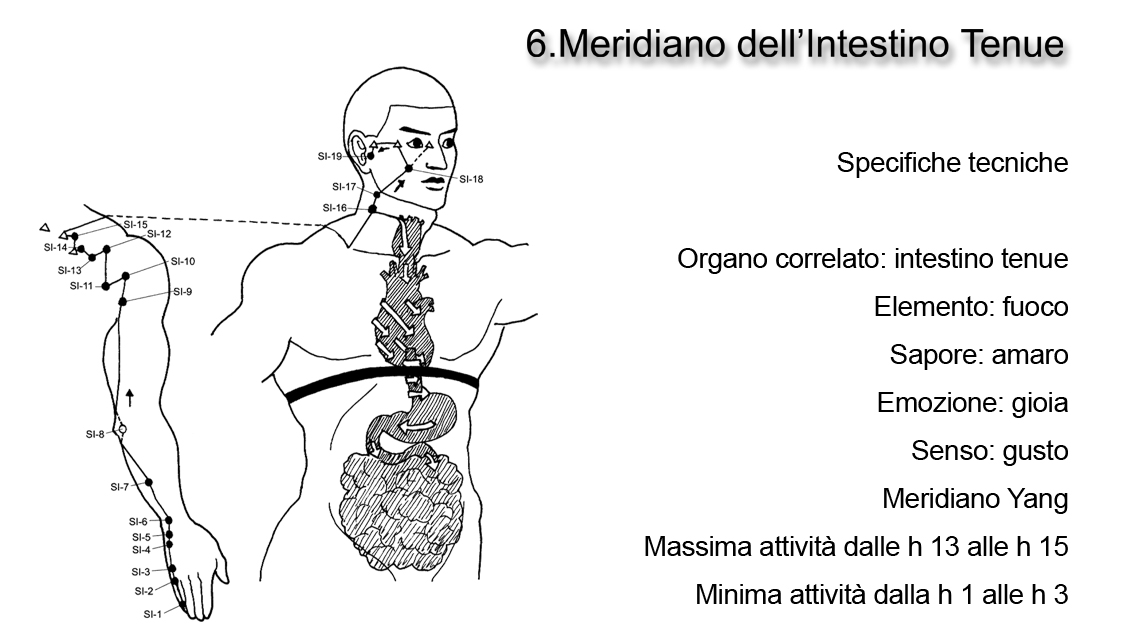 Meridiano dell'Intestino Tenue