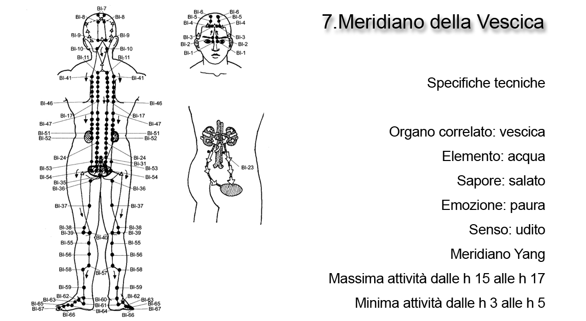 Meridiano della Vescica