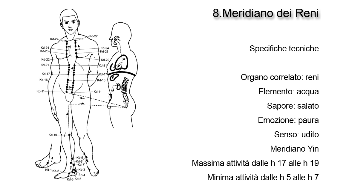 Meridiano dei Reni