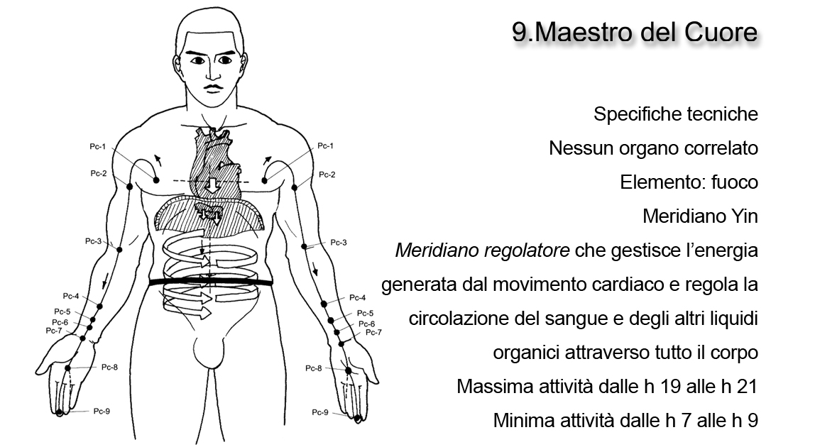 Maestro del Cuore